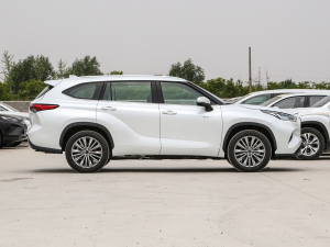 20242.5L늻p(q)A 7 w^