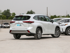 20242.5L늻p(q)A 7 w^