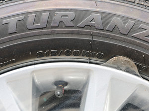 2016ʮo 2.5HG A ݆̥ߴ