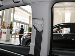 2017Ŀ 185T CVTӢ V g