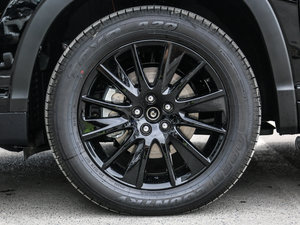 2017款2.0T 七座四驱炫黑限量版 轮圈