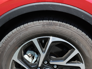 20182.0L CVTA V ݆̥Ʒ