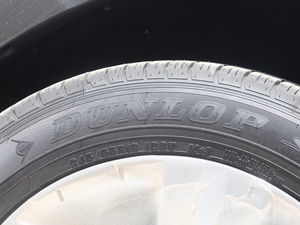 2018款2.0T 两驱豪华版 7座 国VI 轮胎品牌