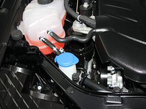 2018EcoBoost 245 r(sh) (gu)V 