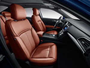 2018EcoBoost 245 Cognac؄e V g