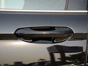 2018EcoBoost 245 Cognac؄e V {T