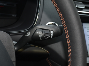 2018EcoBoost 245 Cognac؄e V п؅^