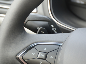 2018EcoBoost 245 Cognac؄e (gu)V п؅^(q)