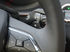 2018EcoBoost 245 Cognac؄e (gu)V п؅^(q)