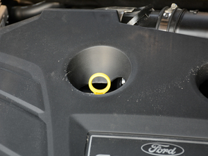 2018EcoBoost 245 Cognac؄e V 