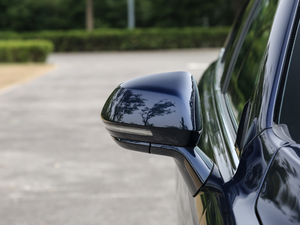 2018EcoBoost 245 LTD V (ji)^