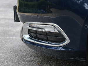 2018EcoBoost 245 LTD V (ji)^