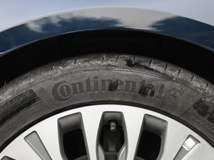 2018EcoBoost 245 LTD V ݆̥Ʒ