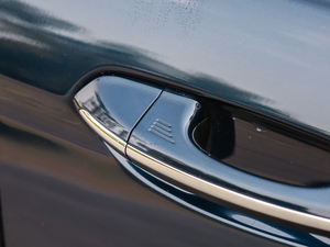 2018EcoBoost 245 LTD V ^