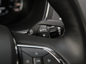 2018EcoBoost 245 LTD (gu)V п؅^(q)