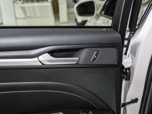 2018EcoBoost 245 Ş g