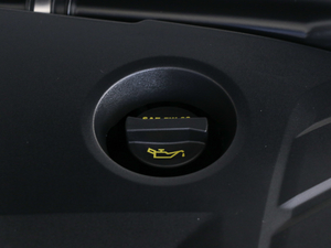2018款EcoBoost 200 Cognac特别版 其它