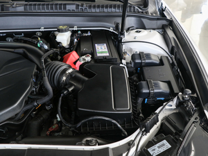 2018款EcoBoost 200 Cognac特别版 其它