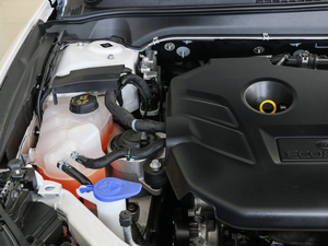 2018款EcoBoost 200 Cognac特别版 其它