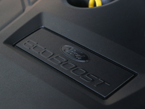 2018款EcoBoost 200 Cognac特别版 其它