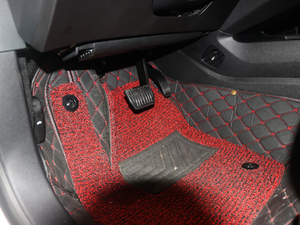 2018EcoBoost 180 r g