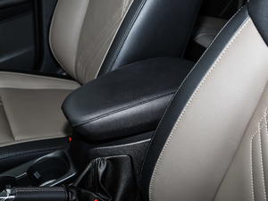 2019EcoBoost 125 Ԅ V 