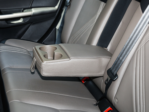 2019EcoBoost 125 Ԅ V 