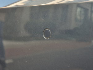 2019EcoBoost 125 Ԅ V (ji)^