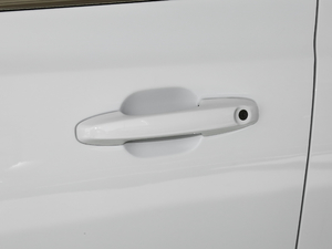 2019Ɏ EcoBoost 180 Ԅhҫ V {T