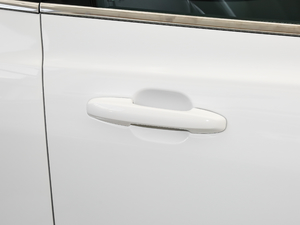 2019Ɏ EcoBoost 180 Ԅhҫ V ^