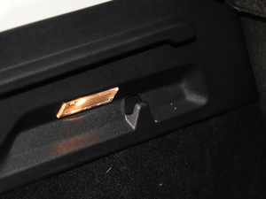 2019Ɏ EcoBoost 180 Ԅhҫ V g