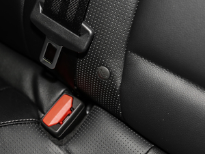 2019Ɏ EcoBoost 180 Ԅhҫ V g