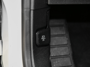 2019Ɏ EcoBoost 180 Ԅhҫ V g