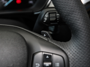 2019Ɏ EcoBoost 180 Ԅhҫ V п؅^