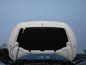 2019 EcoBoost 180Ԅ(dng)ST Line V 