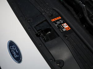 2019 EcoBoost 180Ԅ(dng)ST Line V 