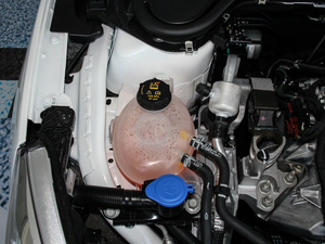 2019 EcoBoost 180Ԅhҫ V 