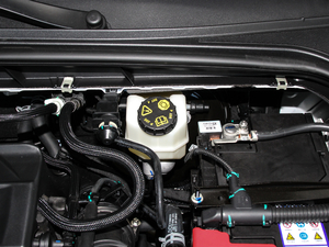 2019 EcoBoost 180Ԅhҫ V 