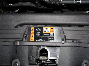 2019 EcoBoost 180Ԅ(dng)hҫ (gu)V 