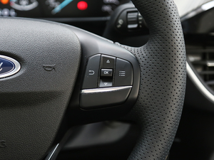 2019 EcoBoost 125Ԅh V п؅^