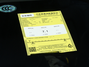 2019 EcoBoost 125Ԅh V ŲͺĘʾ