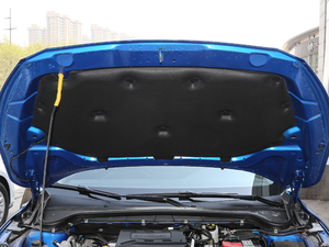 2019 EcoBoost 125Ԅh V 