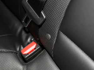 2019 EcoBoost 180Ԅ(dng)hҫ (gu)V g