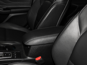 2019 EcoBoost 180Ԅhҫ V 