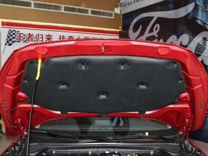 2019 EcoBoost 180Ԅhҫ V 