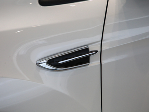 2019EcoBoost 180 K V ^