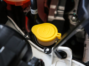 2019EcoBoost 180 K V 