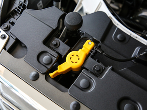 2019款EcoBoost 180 两驱铂翼型 国V 其它