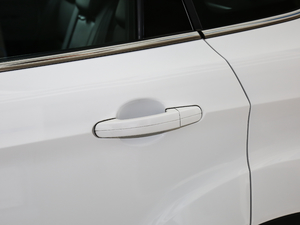 2019EcoBoost 180  VI ^