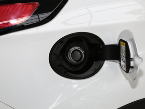 2019EcoBoost 180  VI ^